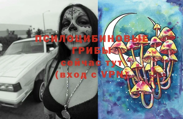 альфа пвп Гусь-Хрустальный