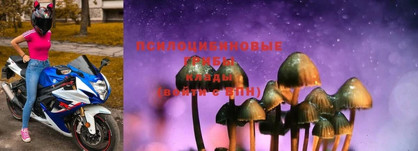 марки lsd Гусев