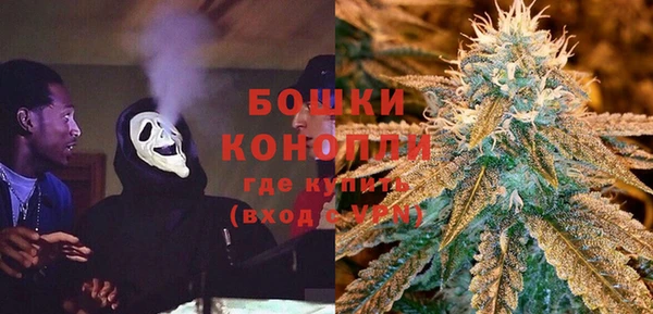 молекула духа Гусиноозёрск