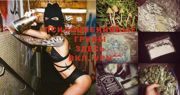 альфа пвп Гусь-Хрустальный