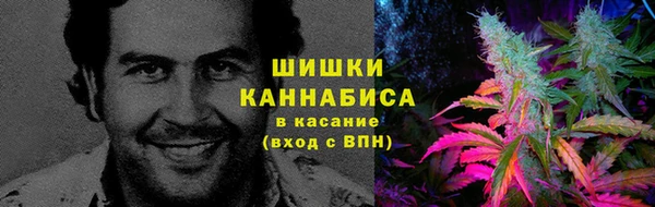 молекула духа Гусиноозёрск