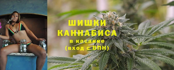 молекула духа Гусиноозёрск