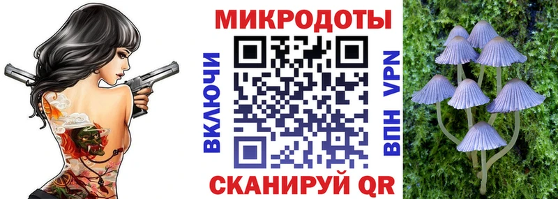 Галлюциногенные грибы Psilocybine cubensis Няндома
